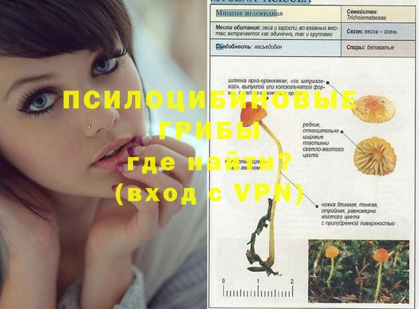 дживик Заводоуковск