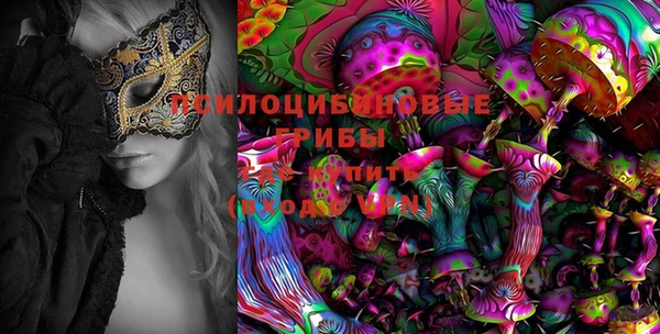 дживик Заводоуковск