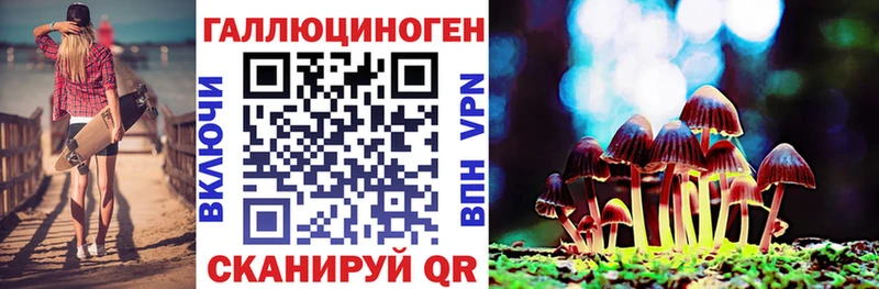 Псилоцибиновые грибы Cubensis  Купить закладки  Котлас 